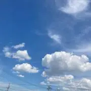 Ayaの画像
