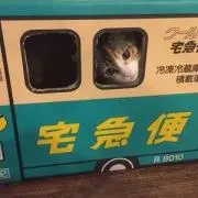 ゆら