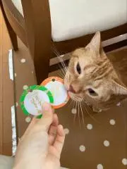 ヲミ会長の画像