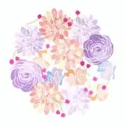 もちこの画像
