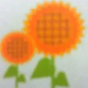 ひまわり