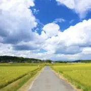 ROAD SKY