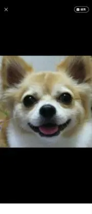 ハラダ