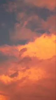 ぴっぴ