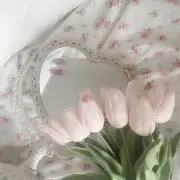 めめの画像