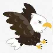 鷲の画像