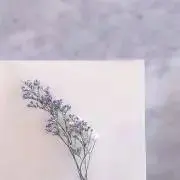 ♡の画像