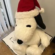 まゆまゆ　※即決金額あればコメントにて！の画像