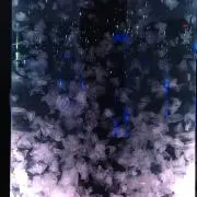 umiの画像