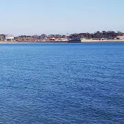 マライアの画像