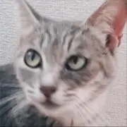 ひろリン【★＋フォロー20％割引歓迎★】の画像