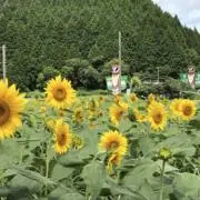 あっこの画像