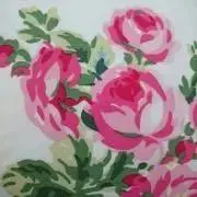 カランコエ