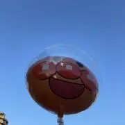 Y.Fの画像