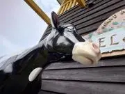 なむざんの画像