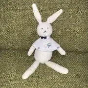 パンダ12号の画像