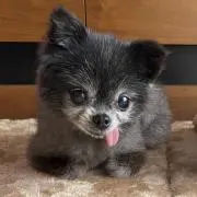 TSの画像