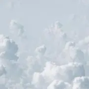 MMMの画像