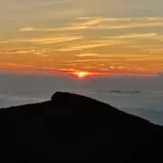 中島　利樹