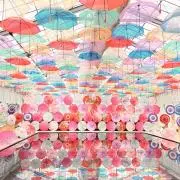 きみの画像