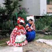 もちこの画像