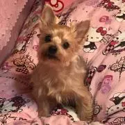 いづみ