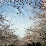 礼之助の画像