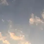 いね