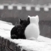 たたの画像