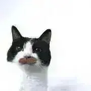 sの画像