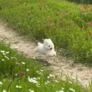 ??
