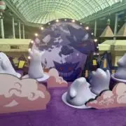 メリーの画像