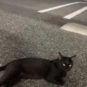 えのきポンズの画像