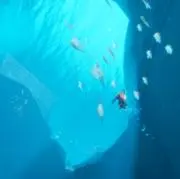 ちょこ狂いの画像