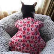 さき