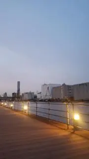 yuzuの画像