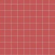 Tukuの画像