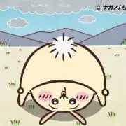 ぺぺ うさぎさん推し　プロフィール必読の画像