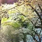 モネ