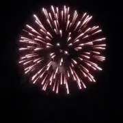 みーこの画像