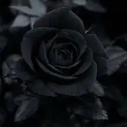 兎眠