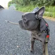 zen♡