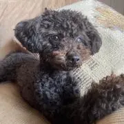 わーとき