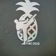 パイン道場⭐︎プロフ確認下さい♪の画像