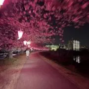 Gachagetkunの画像