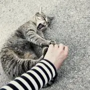 ◎ゆう◎