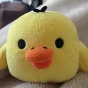 DKの画像