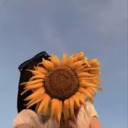 ふぅりの画像