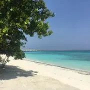 takkkk1310の画像