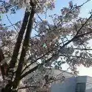 まるの画像